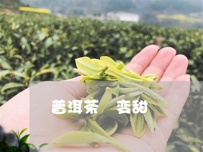 普洱茶 变甜/2023042802028